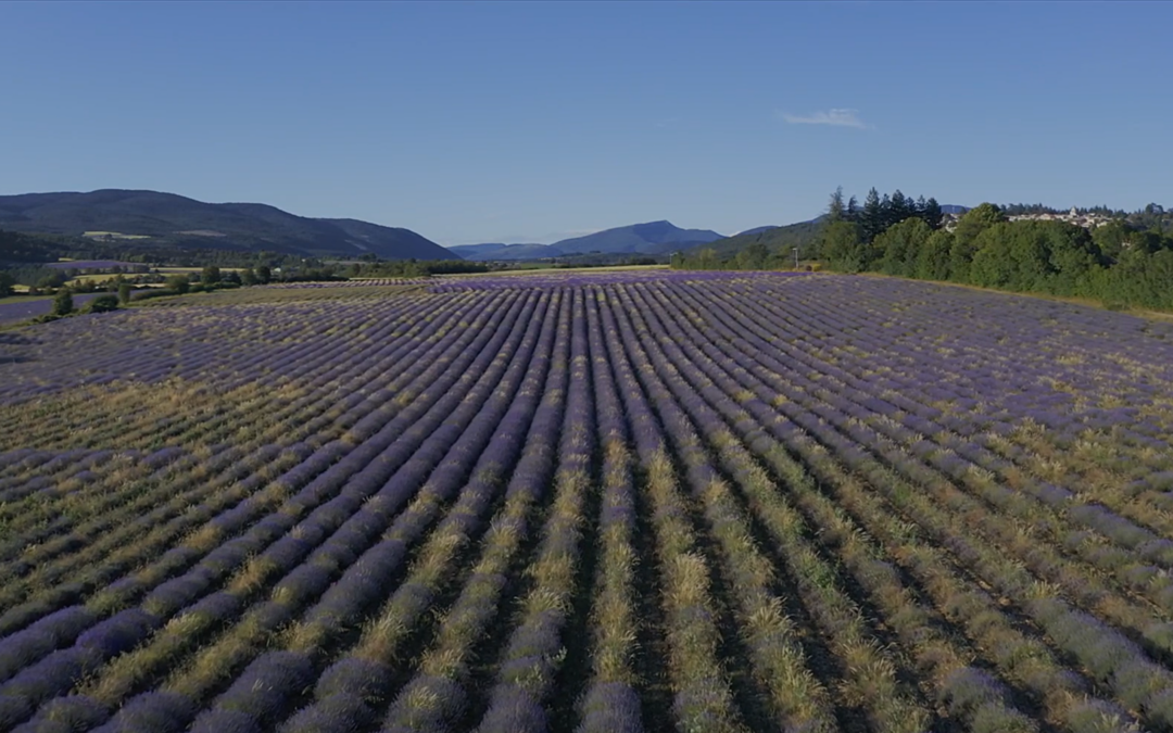 OVER TOURISM IN PROVENCE