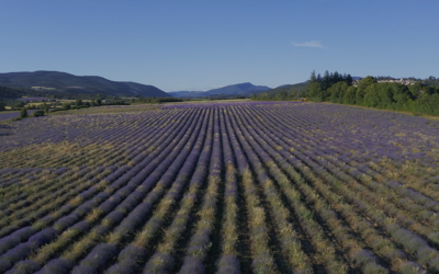 OVER TOURISM IN PROVENCE