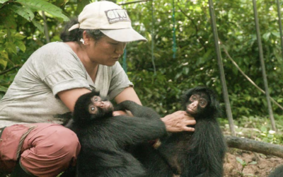 LES LISIERES DE LA FORET – 60&prime; – ( Bolivie ) – Vo espagnol sous-titrée